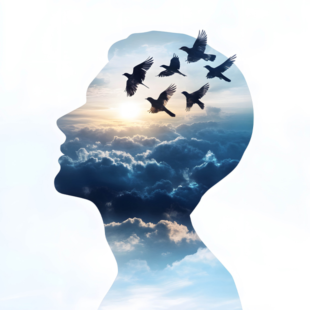 Counselling Services